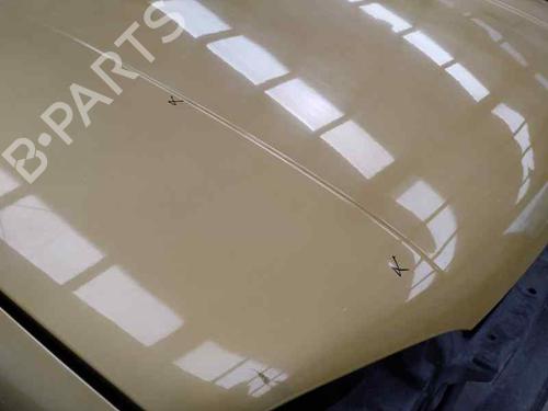 Hood VW GOLF IV (1J1)  | BP26561239C1 