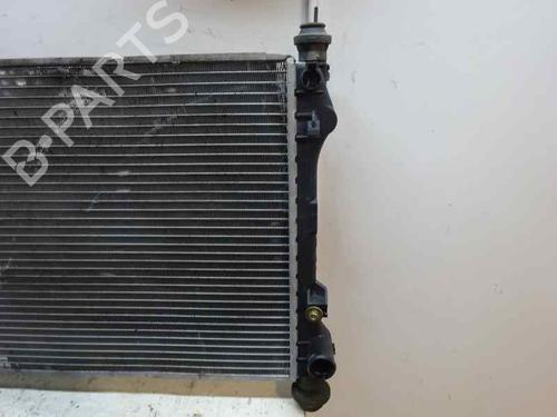 Used Water radiator Water radiator 2443836 2443836