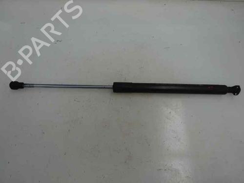 Used Tailgate lift support Tailgate lift support RENAULT CLIO III (BR0/1, CR0/1) [2005-2014] 14170284 14170284