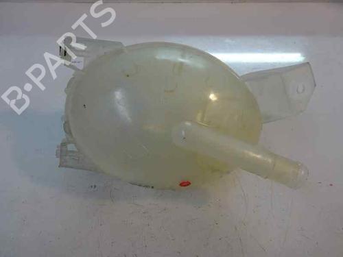 Used Expansion tank DACIA DOKKER MPV (KE_) 1.5 dCi / Blue dCi 75 (KEAJ, KEAH, KEJW) (75 hp) 6558995