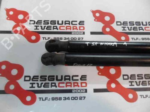 Tailgate lift support FORD FOCUS III 1.6 TDCi | BP14171966C138 