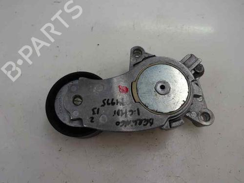 Other CITROËN BERLINGO / BERLINGO FIRST Box Body/MPV (M_)  | BP14170003O1 
