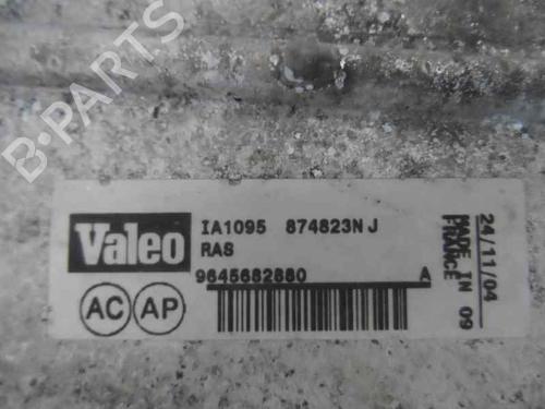 Used Intercooler PEUGEOT 407 (6D_) 2.0 HDi 135 (6DRHRH, 6DRHRE, 6DRHRG, 6DRHRJ) (136 hp) 204452