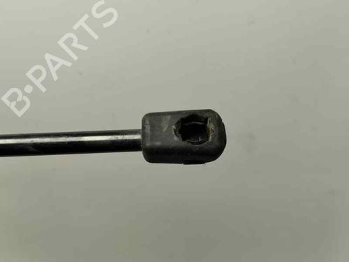 Tailgate lift support MERCEDES-BENZ M-CLASS (W163) ML 270 CDI (163.113) | BP21271869C138 