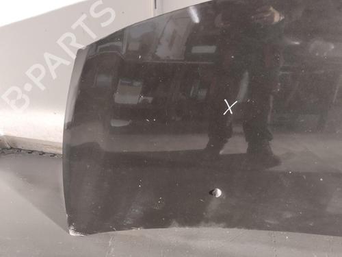 Capot Capot RENAULT CLIO III (BR0/1, CR0/1) 1.2 16V (BR0P, CR0P) (101 hp) 15525906 15525906