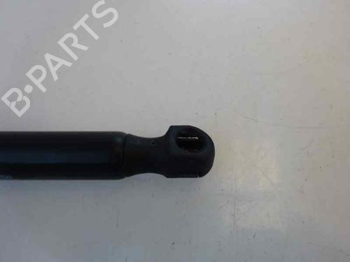 Tailgate lift support CITROËN C4 I (LC_) 1.6 HDi | BP14173064C138 