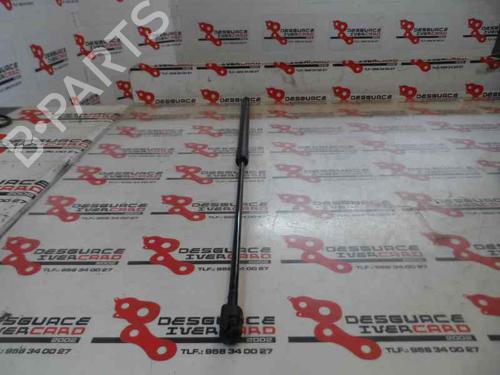 Vérin de capot RENAULT MEGANE III Hatchback (BZ0/1_, B3_) 1.5 dCi (86 hp) 14171673