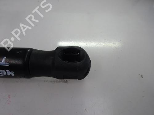 Tailgate lift support RENAULT MEGANE II Coupé-Cabriolet (EM0/1_) 1.9 dCi | BP14170798C138 