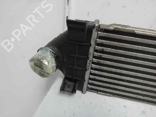 Intercooler radiateur FORD S-MAX (WA6) 2.0 TDCi (140 hp) 7204003