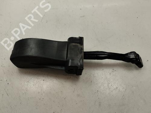Hinge/Door check strap AUDI A3 (8V1, 8VK) 1.5 TFSI | BP19807784C146