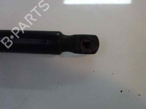 Tailgate lift support RENAULT MEGANE II Estate (KM0/1_) 1.9 dCi (KMRG, KM1G, KM0G, KM2C) | BP14172764C138 