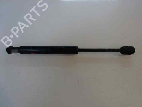Used Hood lift support Hood lift support RENAULT SCÉNIC III (JZ0/1_) 1.9 dCi (JZ0J, JZ1J, JZ1K, JZ1S) (131 hp) 14173024 14173024