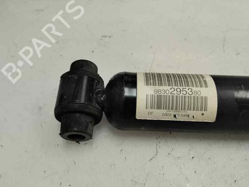Left rear shock absorber CITROËN C5 AIRCROSS (A_) 1.2 PureTech 130 (ARHNSJ) | BP29134065M18