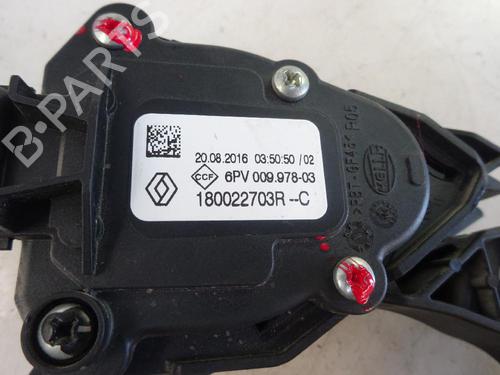 Pedal DACIA SANDERO II 1.0 TCe 100 (B8ML) (101 hp) 10639962