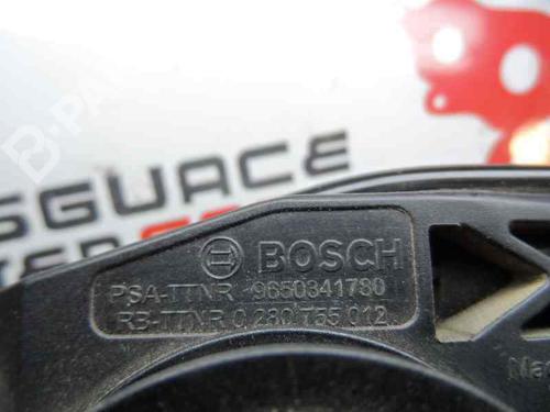 Pedal PEUGEOT 407 (6D_) 2.0 HDi 135 (6DRHRH, 6DRHRE, 6DRHRG, 6DRHRJ) | BP1623155I4 