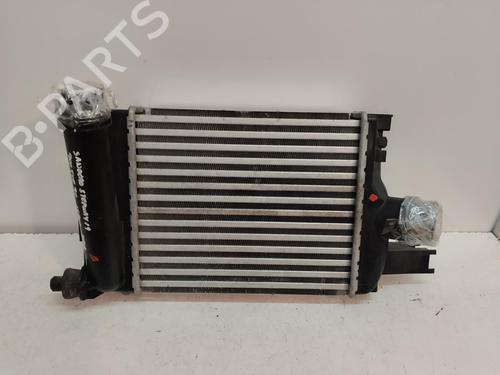 Intercooler DACIA SANDERO II [2012-2025]  16293690