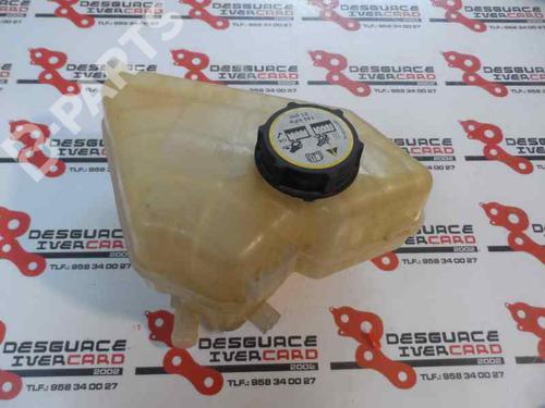 Expansion tank FORD FIESTA VI (CB1, CCN) 1.4 TDCi | BP1623370C120 