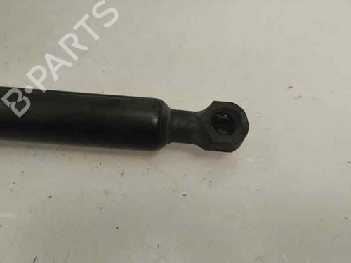 Hood lift support RENAULT CLIO IV (BH_) 1.5 dCi 90 | BP26561317C139
