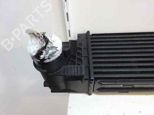 Used Intercooler Intercooler RENAULT LAGUNA II (BG0/1_) 1.9 dCi (BG08, BG0G) (120 hp) 1930414 1930414