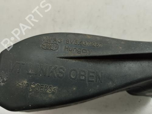 Hinge/Door check strap AUDI A3 (8V1, 8VK) 1.5 TFSI | BP19807784C146