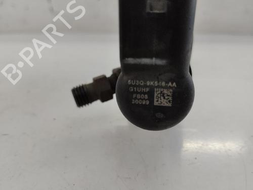 Used Injector JAGUAR S-TYPE II (X200) 2.7 D (207 hp) 15405450