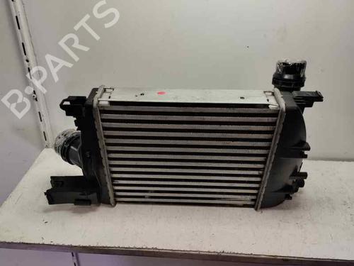 Intercooler RENAULT CLIO IV Grandtour (KH_) 0.9 TCe 90 | BP21394993M30