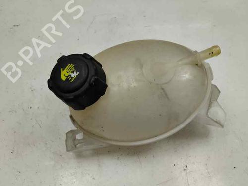 Used Expansion tank RENAULT CLIO IV (BH_) 0.9 TCe 90 (BHNF, BHMA, BHMH, BHJK, BHJR) (90 hp) 21394996