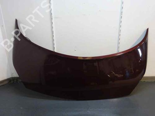 Used Hood Hood RENAULT GRAND SCÉNIC II (JM0/1_) 1.9 dCi (JM0G, JM12, JM1G, JM2C) (120 hp) 2497748 2497748