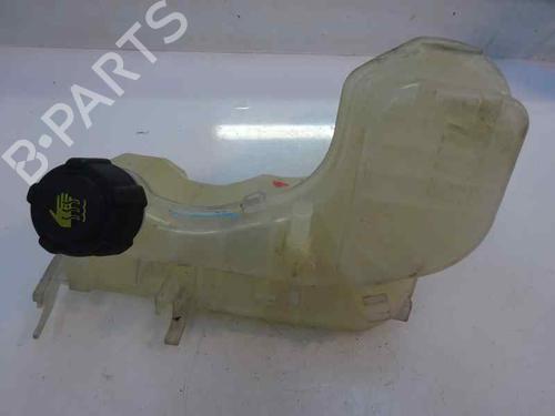 Ekpansionstank RENAULT LAGUNA III (BT0/1) 1.5 dCi (BT00, BT0A, BT0T, BT1J) (110 hp) 3016004
