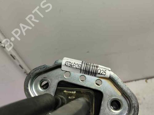 Gearstang Gearstang 21394764 21394764