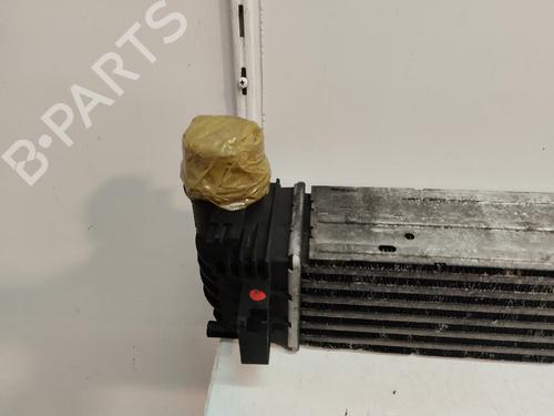 Intercooler RENAULT GRAND SCÉNIC III (JZ0/1_) 1.5 dCi (JZ09, JZ0D, JZ10, JZ14, JZ1G, JZ29, JZ2C) | BP16174176M30