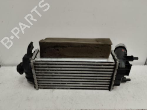 BP17244134M30 | Intercooler FORD FIESTA VII (HJ, HF) 1.5 TDCi BP17244134M30