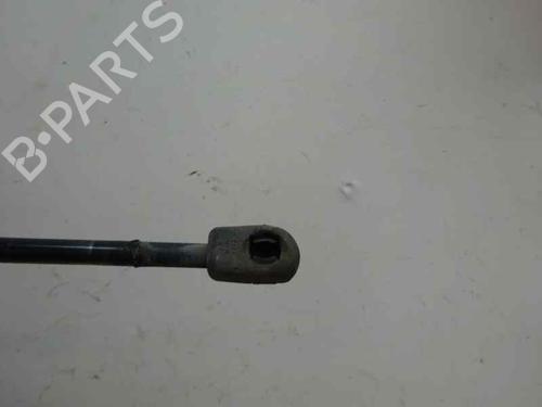 Tailgate lift support SKODA OCTAVIA II (1Z3) 1.9 TDI | BP14168942C138 