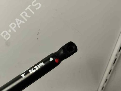 Tailgate lift support FORD FIESTA VII (HJ, HF) 1.0 EcoBoost | BP31352396C138