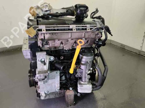 Engine SEAT IBIZA III (6L1)  | BP26555534M1  - Image 5