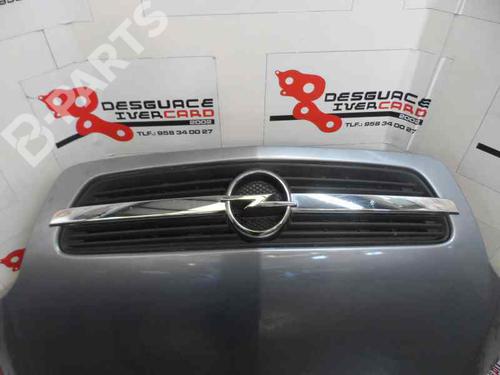 Hood OPEL MERIVA A MPV (X03) 1.7 CDTI (E75) | BP195813C1 