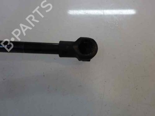 Tailgate lift support BMW 1 (E87) 118 d | BP14172950C138 