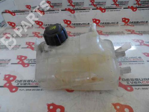 expansion-tank-renault-megane-iii-hatchback-bz01_-b3_-15-dci-2008-1622976 main image