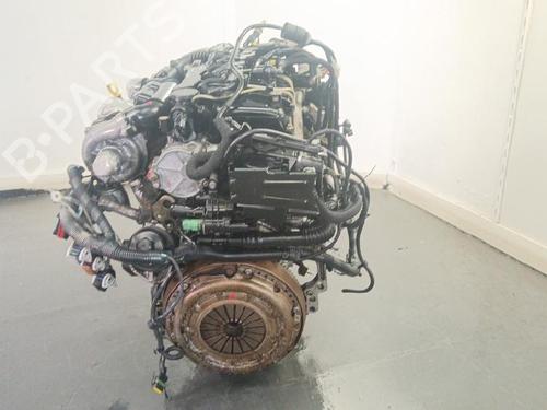 Engine FORD FOCUS C-MAX (DM2) 1.6 TDCi | BP40062316M1 - Image 3