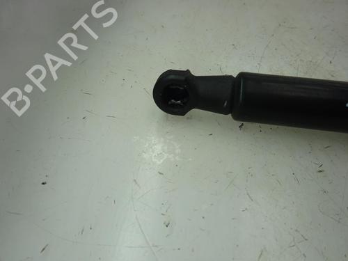 Hood lift support RENAULT SCÉNIC III (JZ0/1_) 1.5 dCi | BP14170690C139 