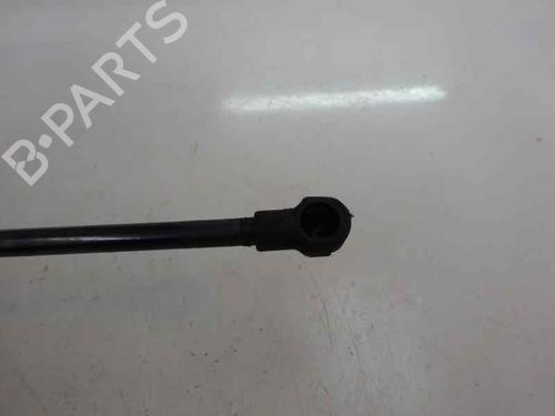 Ammortizzatore cofano anteriore BMW 1 (E87) 118 d (122 hp) 14168858