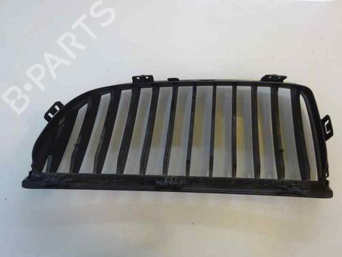 Grill BMW 3 (E90) | BP14172849C40