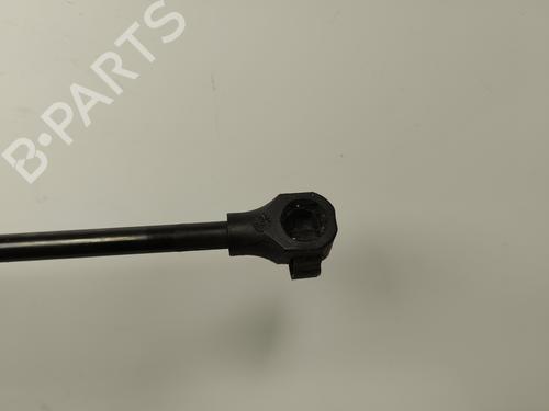 Tailgate lift support CITROËN SAXO (S0, S1)  | BP19486012C138 