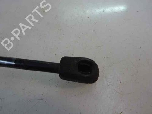 Used Tailgate lift support Tailgate lift support RENAULT MEGANE III Hatchback (BZ0/1_, B3_) 1.5 dCi (106 hp) 14170314 14170314