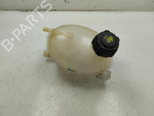 Used Expansion tank DACIA DUSTER (HM_) 1.0 TCe 100 (HMMT) (101 hp) 18693406