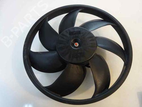 Radiator fan FORD FIESTA VI (CB1, CCN) 1.4 TDCi | BP895642M35