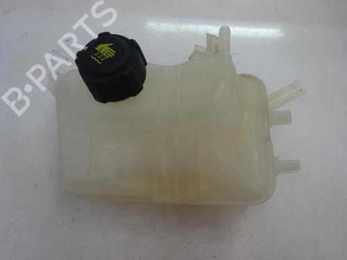 Used Expansion tank RENAULT GRAND SCÉNIC III (JZ0/1_) 1.5 dCi (JZ09, JZ0D, JZ10, JZ14, JZ1G, JZ29, JZ2C) (110 hp) 10968024