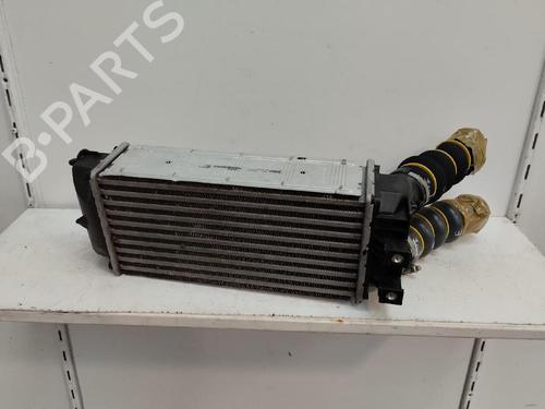 Intercooler CITROËN C4 II (NC_) | BP16993756M30