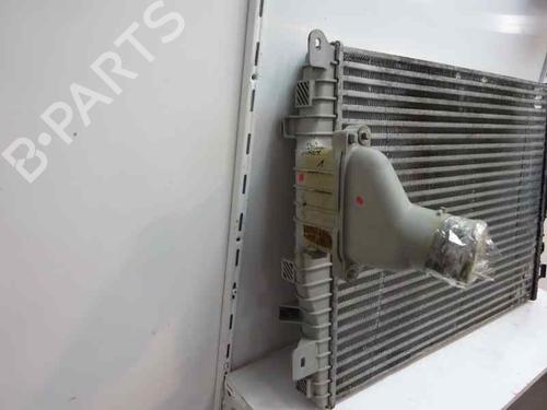 Used Intercooler JAGUAR S-TYPE II (X200) 2.7 D (207 hp) 9262766