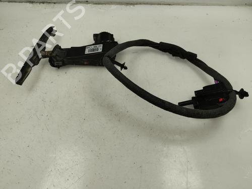 Hinge/Door check strap FORD KUGA III (DFK) 1.5 Ecoboost | BP19663807C146 